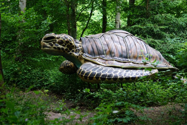 No Time To Waste - Myrtle - £14,000