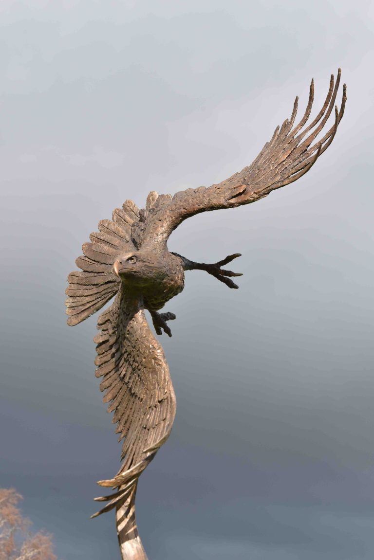 Bald Eagle by Hamish MacKie   £72,000