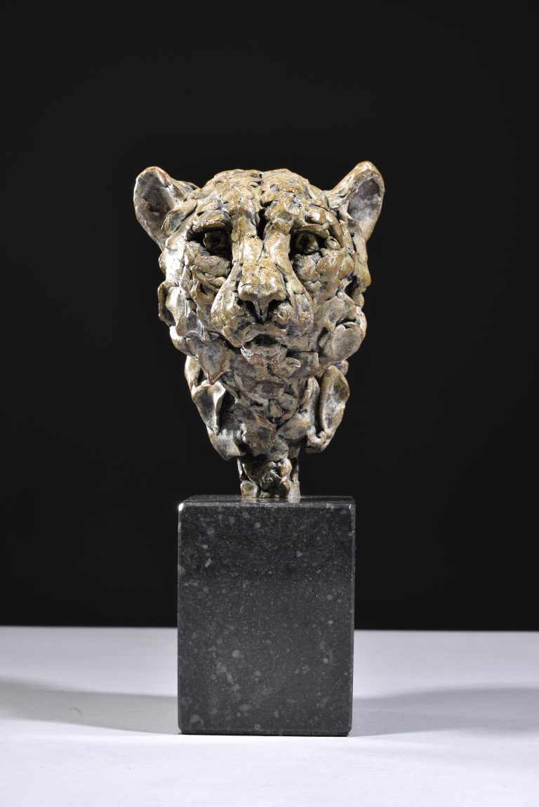 Cheetah Head Study by Hamish MacKie    £2,200