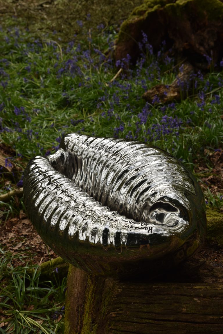 Cowrie by Hamish MacKie    £32,000