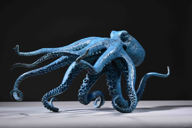 Octopus by Hamish MacKie    £19,000