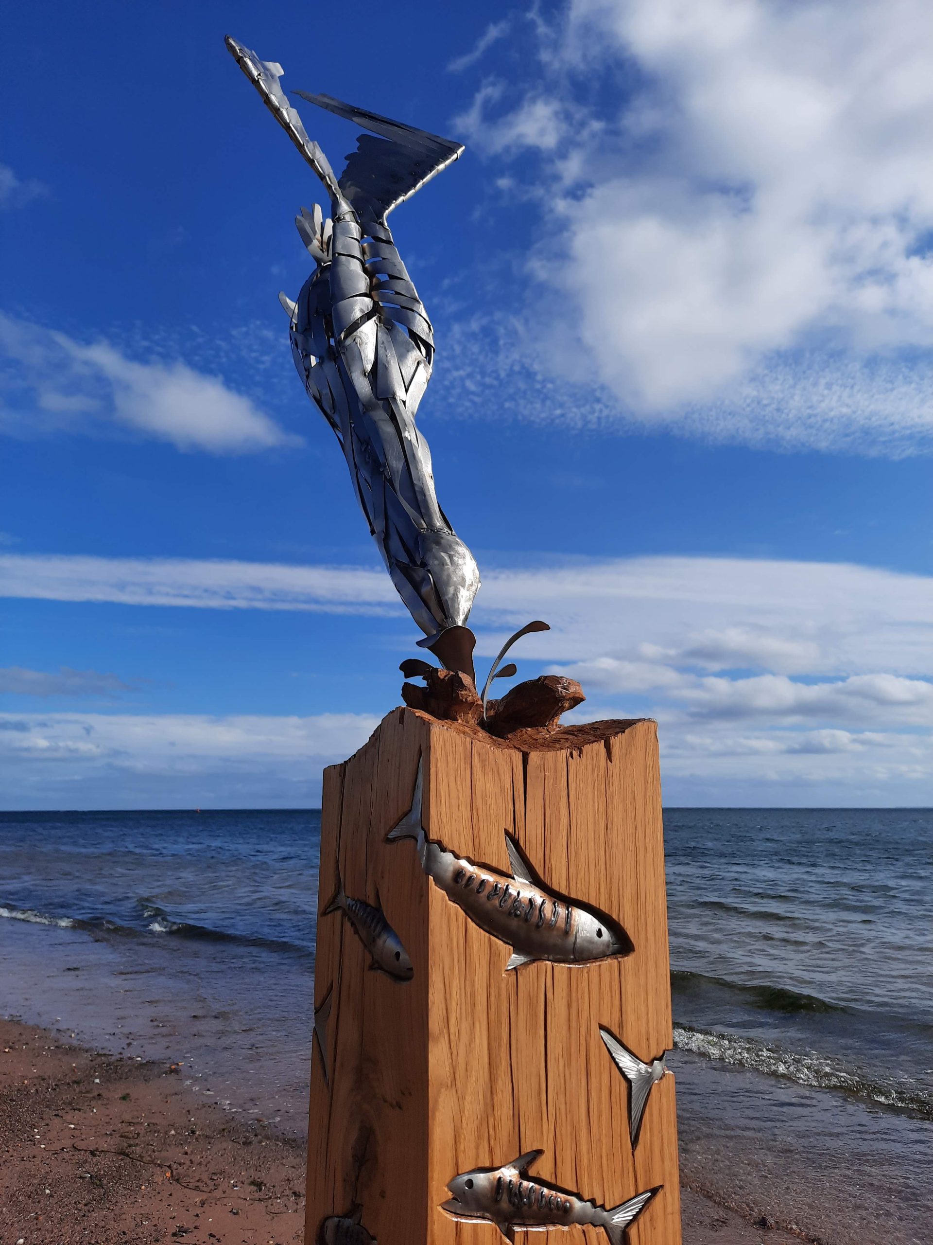 Gannet Dive by Owen Meredith  –  £3,200