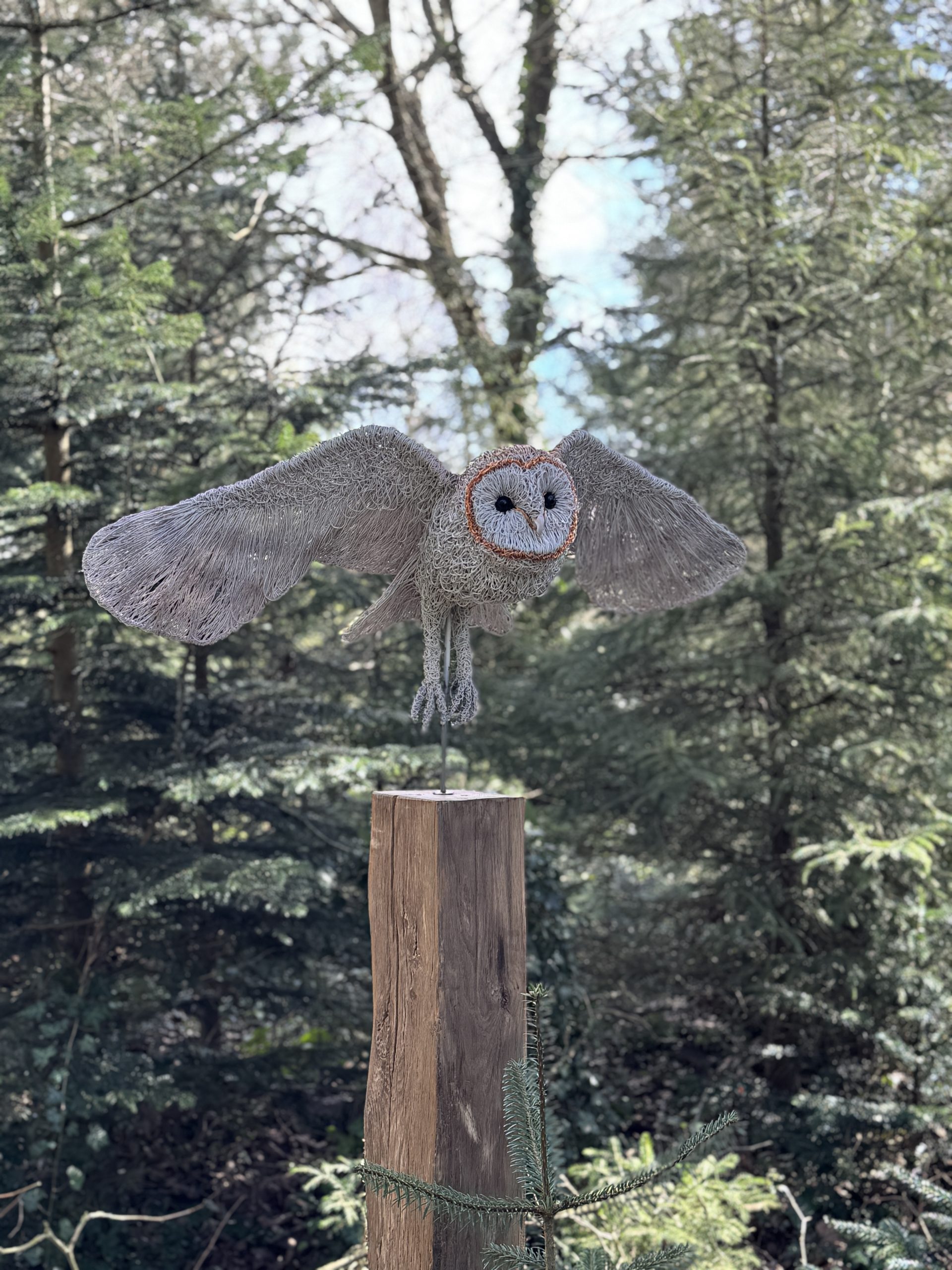 Large Flying Owl by Hayley Jones – £2,350