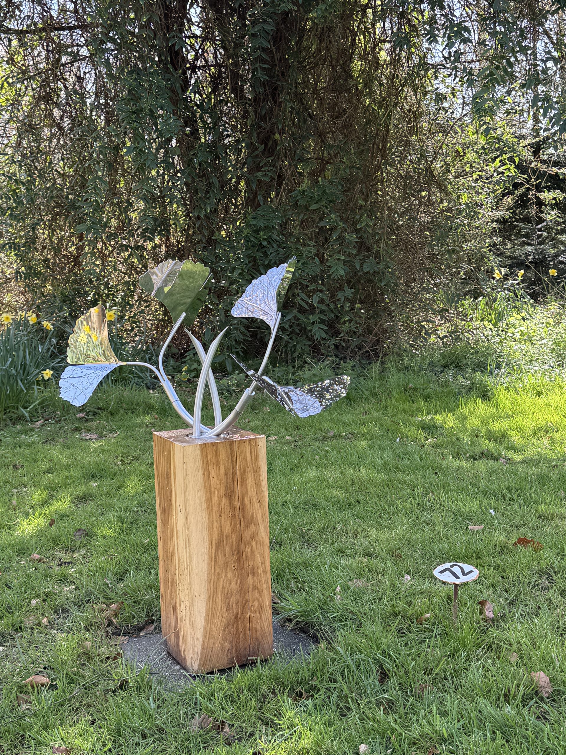 Little Ginkgo by Stuart Stockwell  –  £800