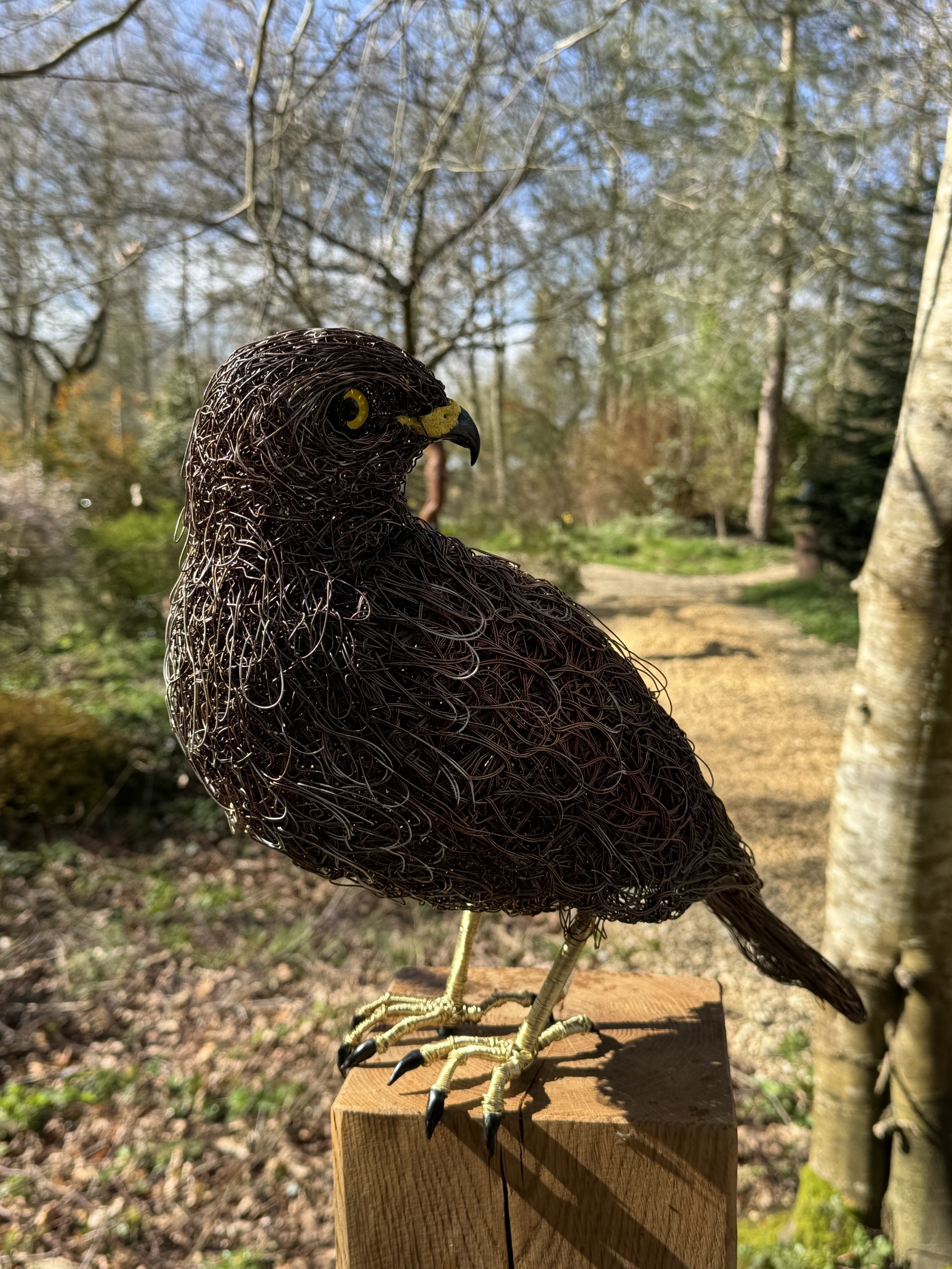 Buzzard by Hayley Jones – £1,595