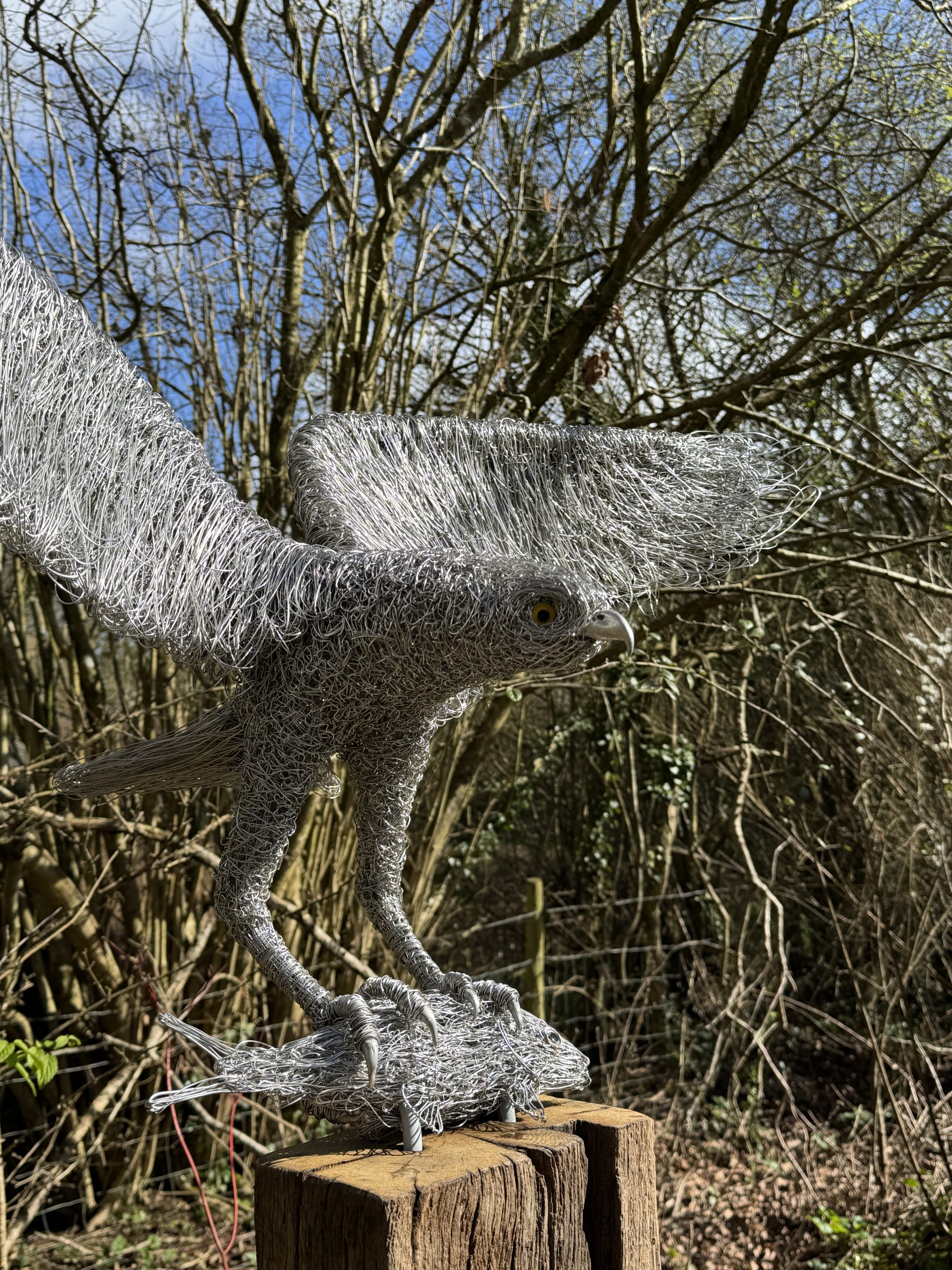 Osprey by Hayley Jones – £3,285