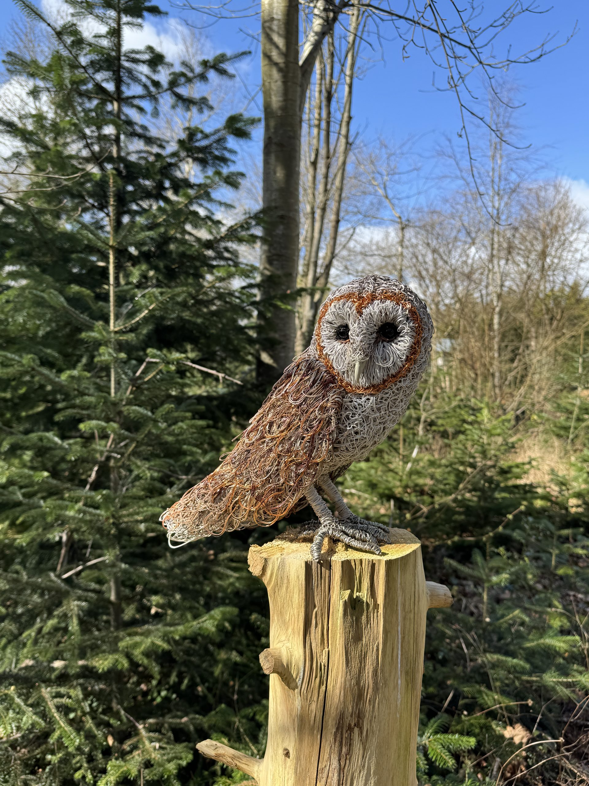 Barn Owl by Hayley Jones – £1,450