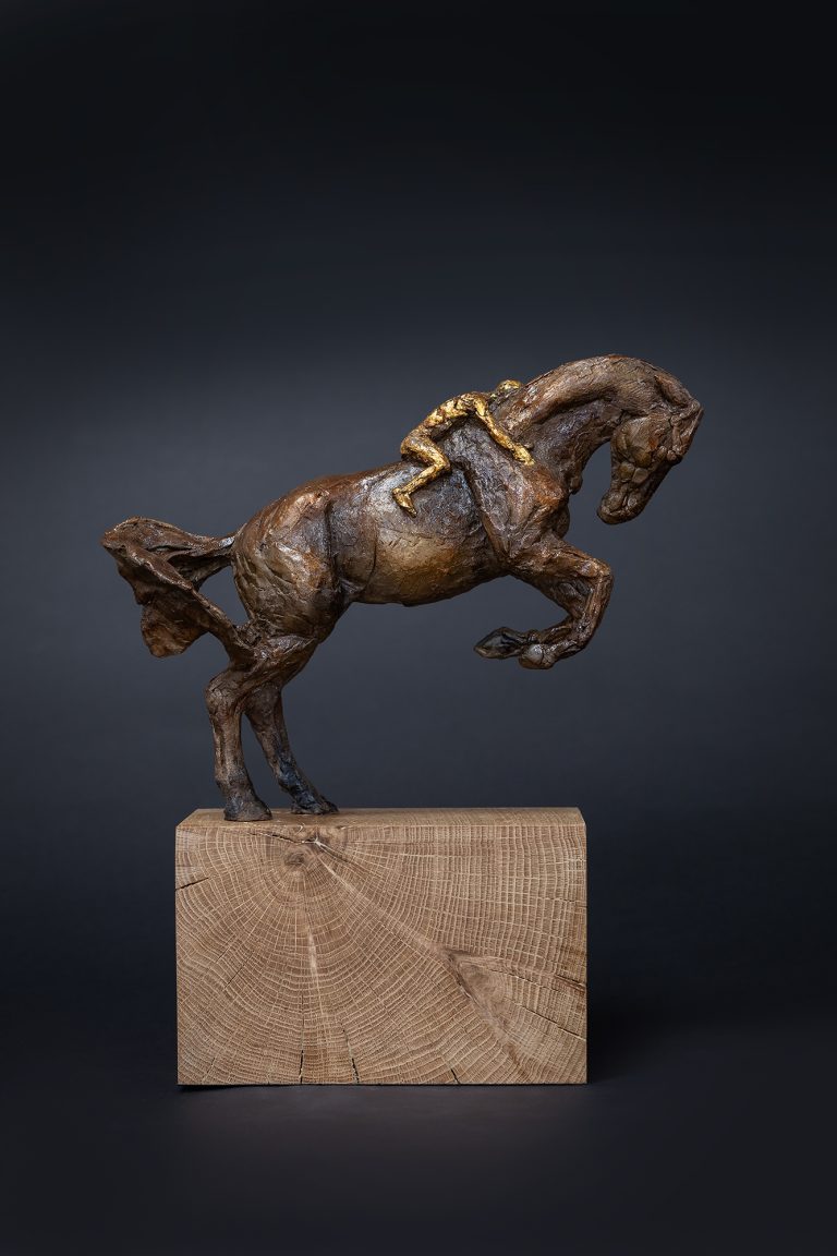 The Horse and His Boy by Kay Thomas  -  £3,300