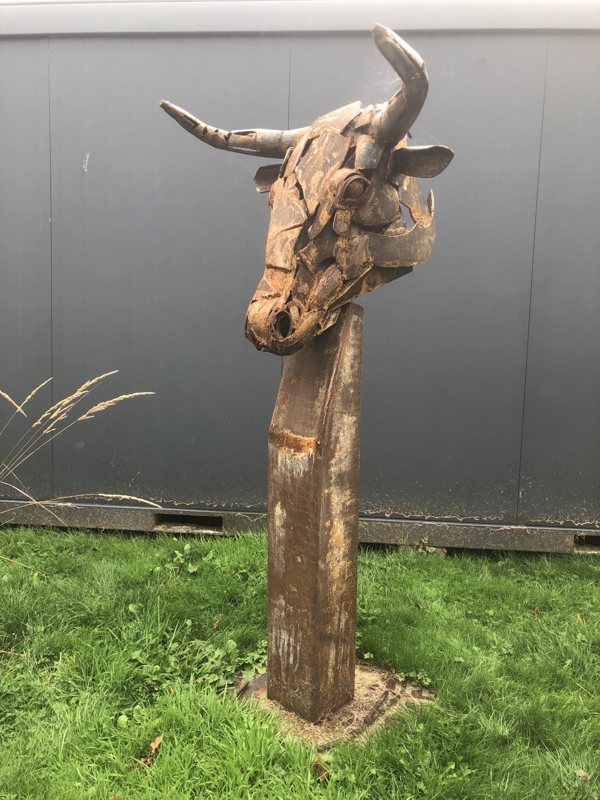 Bulls Head by Niki Burns  –  £3,250