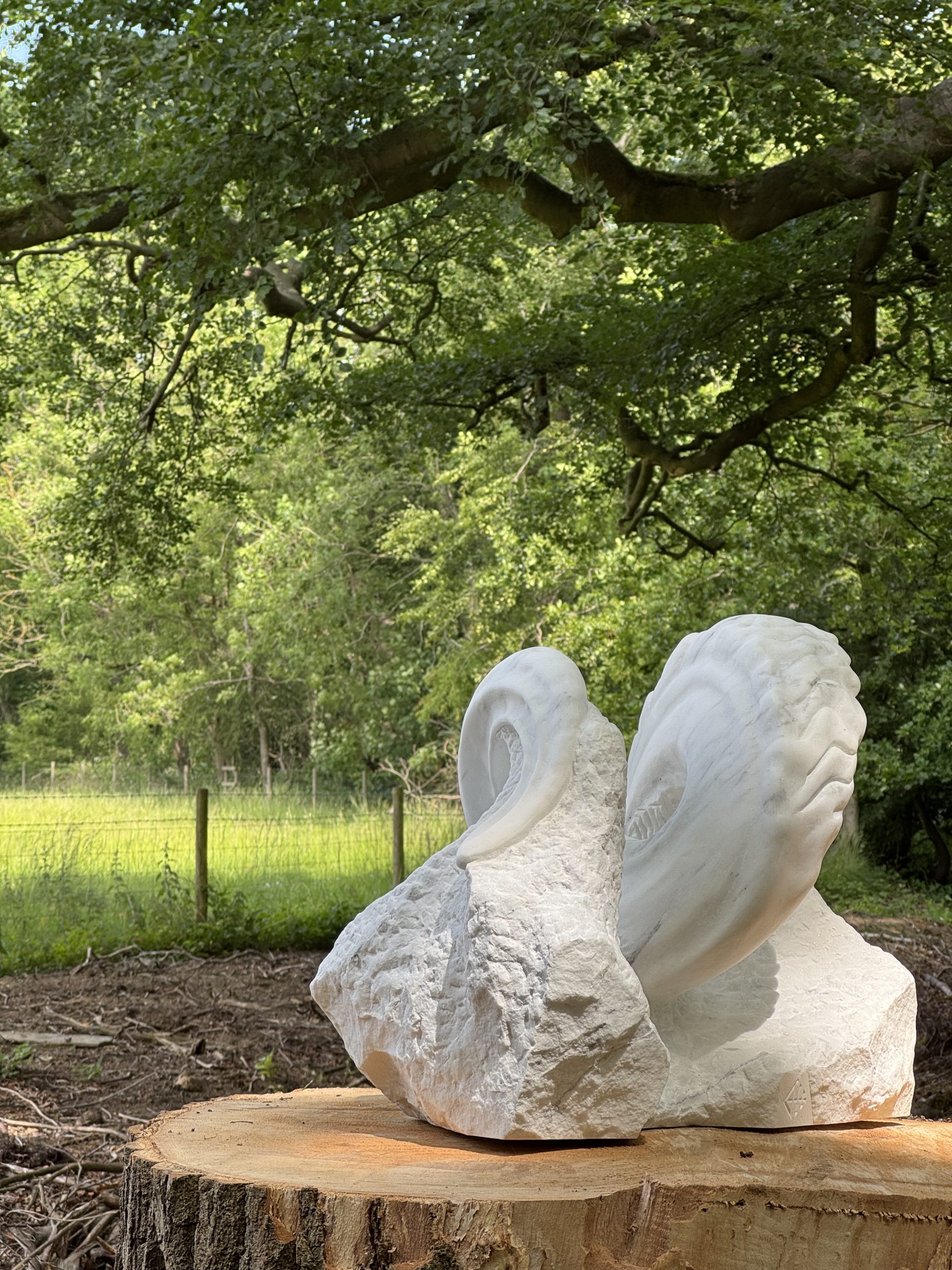 Swaledale Horn byJoseph Hayton  –  £14,000