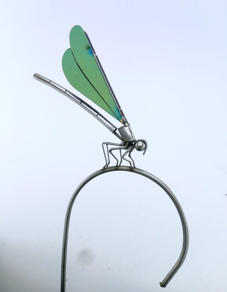 Damselfly on Crook by Ed Hill  -  £205