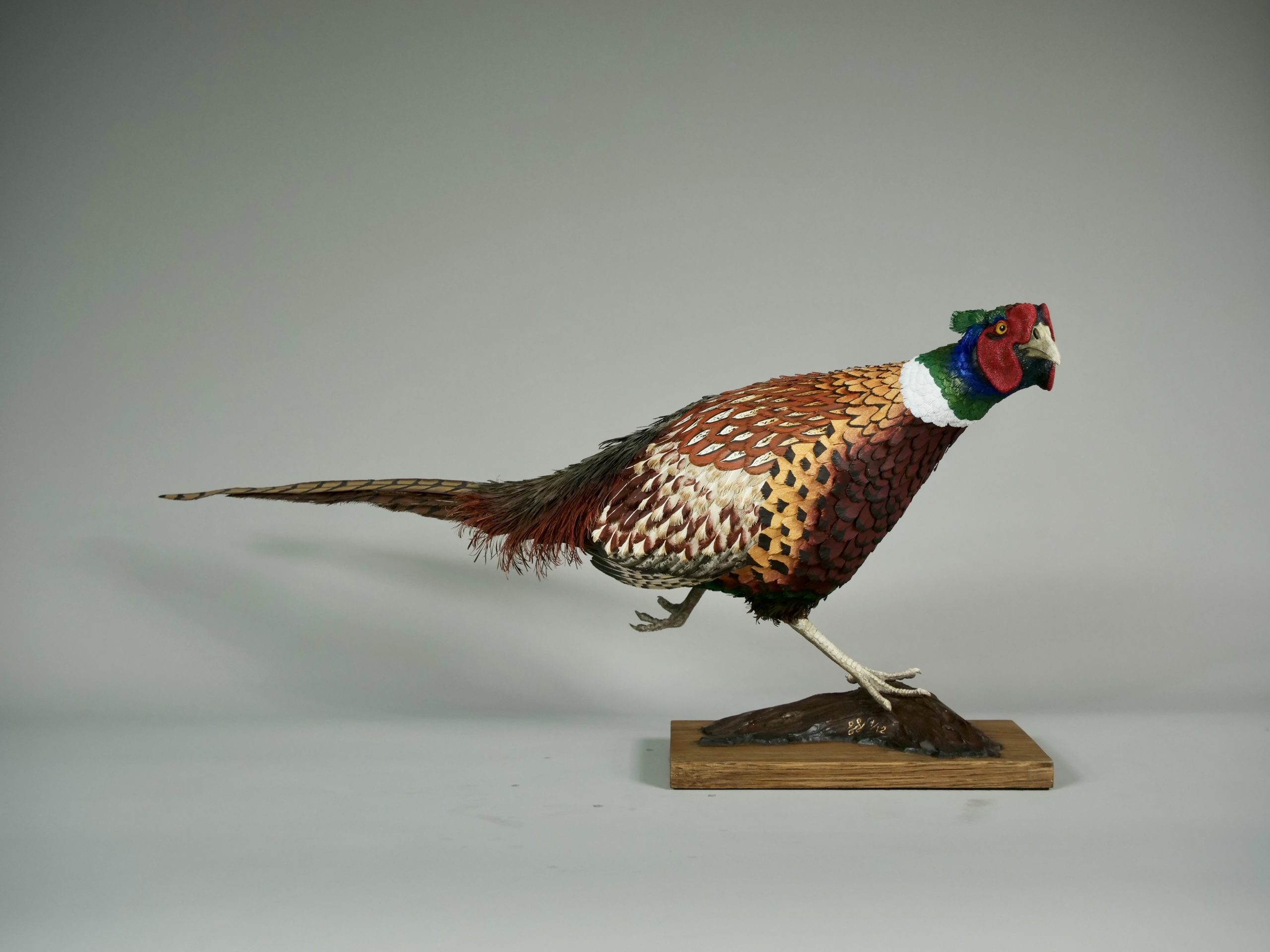 Running Wild (Pheasant) by Jamie Lord  –  £4,250
