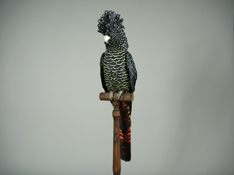 Regalia (Cockatoo) by Jamie Lord  -  £2,250