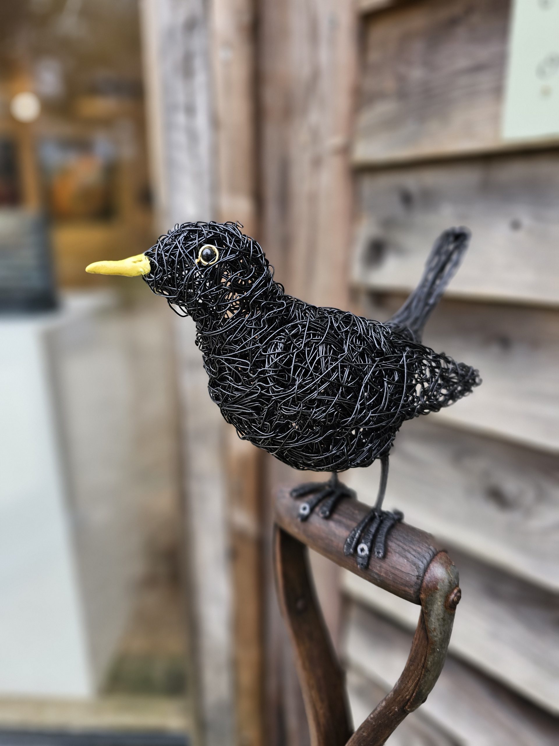 Blackbird on a garden Tool by Hayley Jones – £150