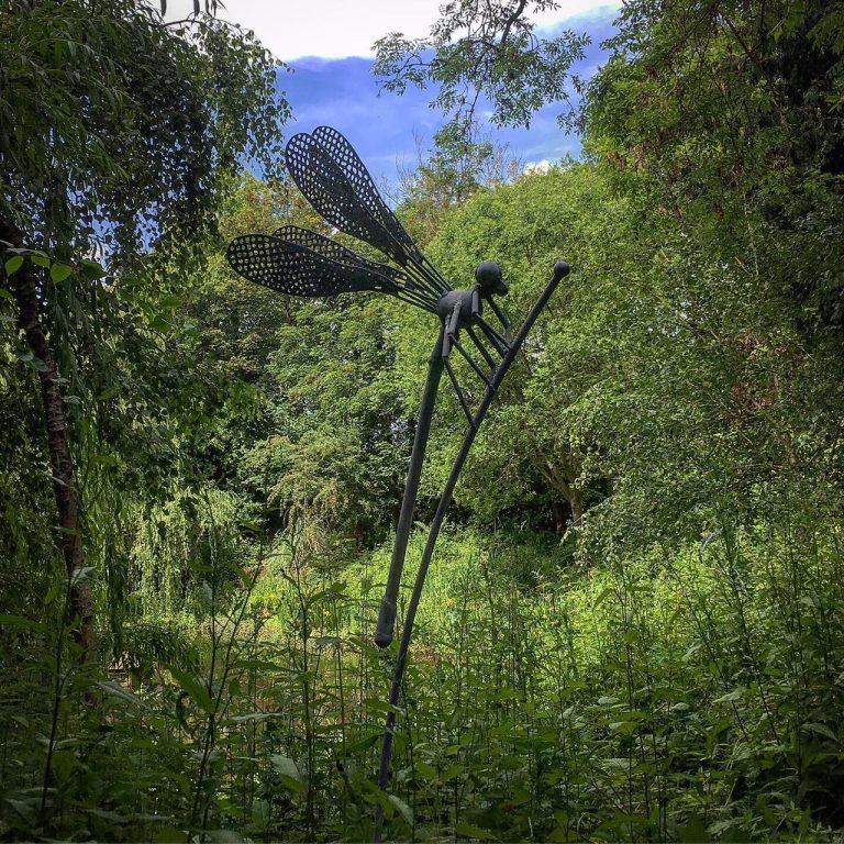 Dragonfly by Nik Burns  -  £2,650