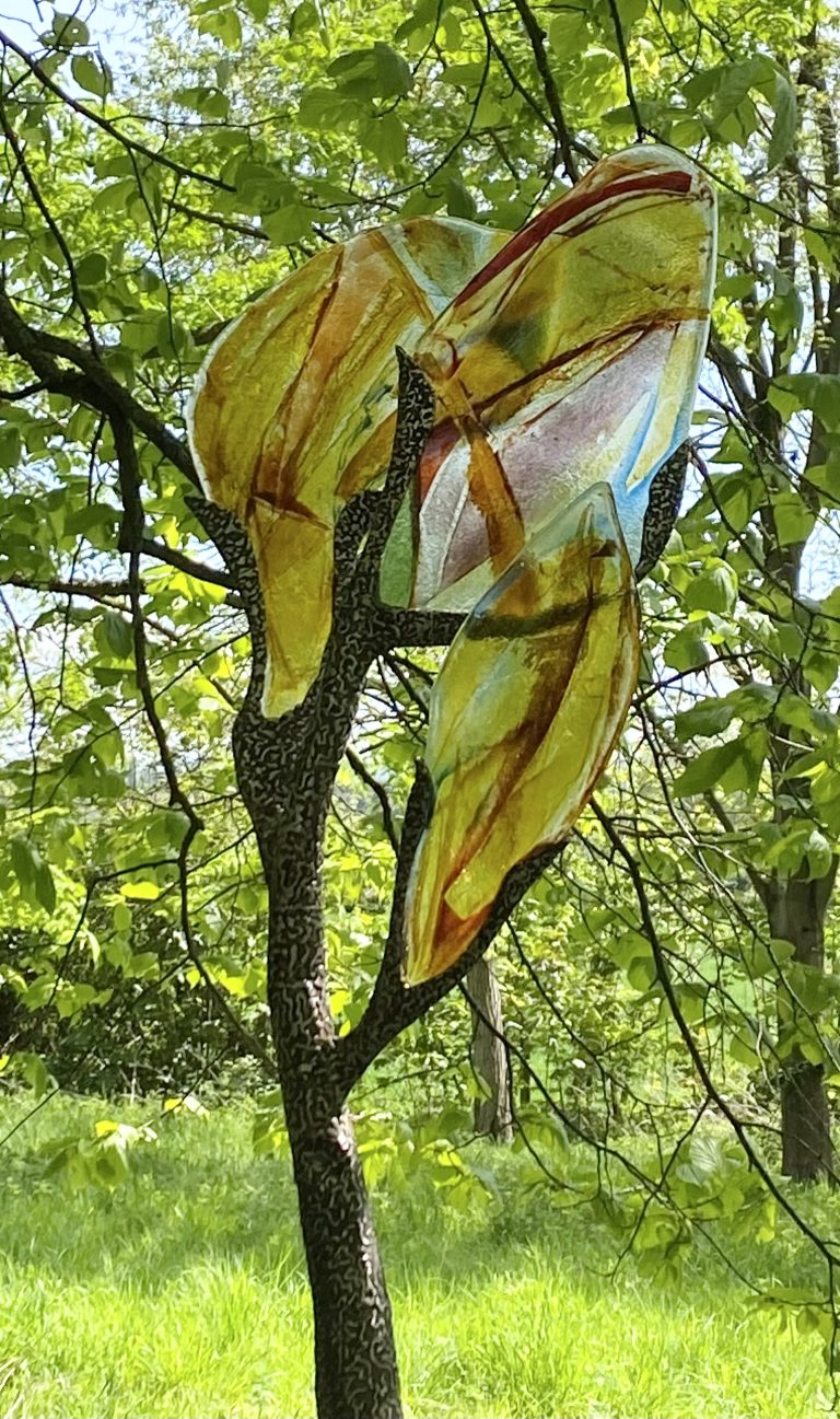 Olive Tree by Pamela Moolman  -  £2,300