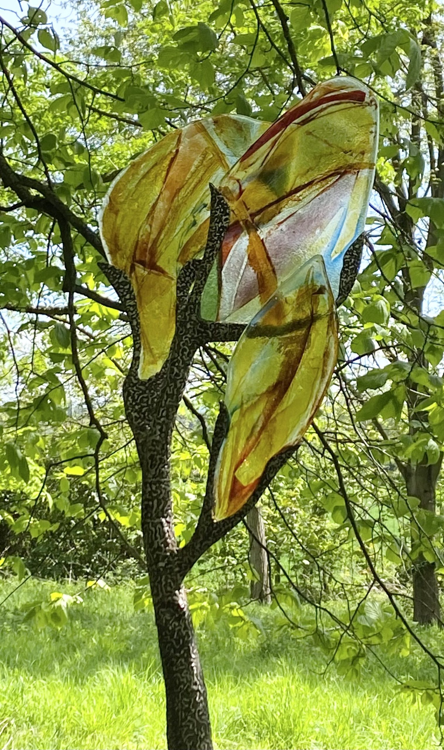 Olive Tree by Pamela Moolman  –  £2,300